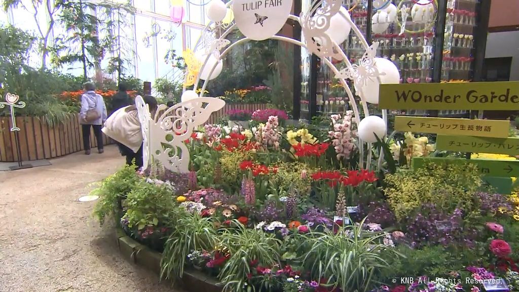 春の花の競演　チューリップ四季彩館で企画展示　砺波市
