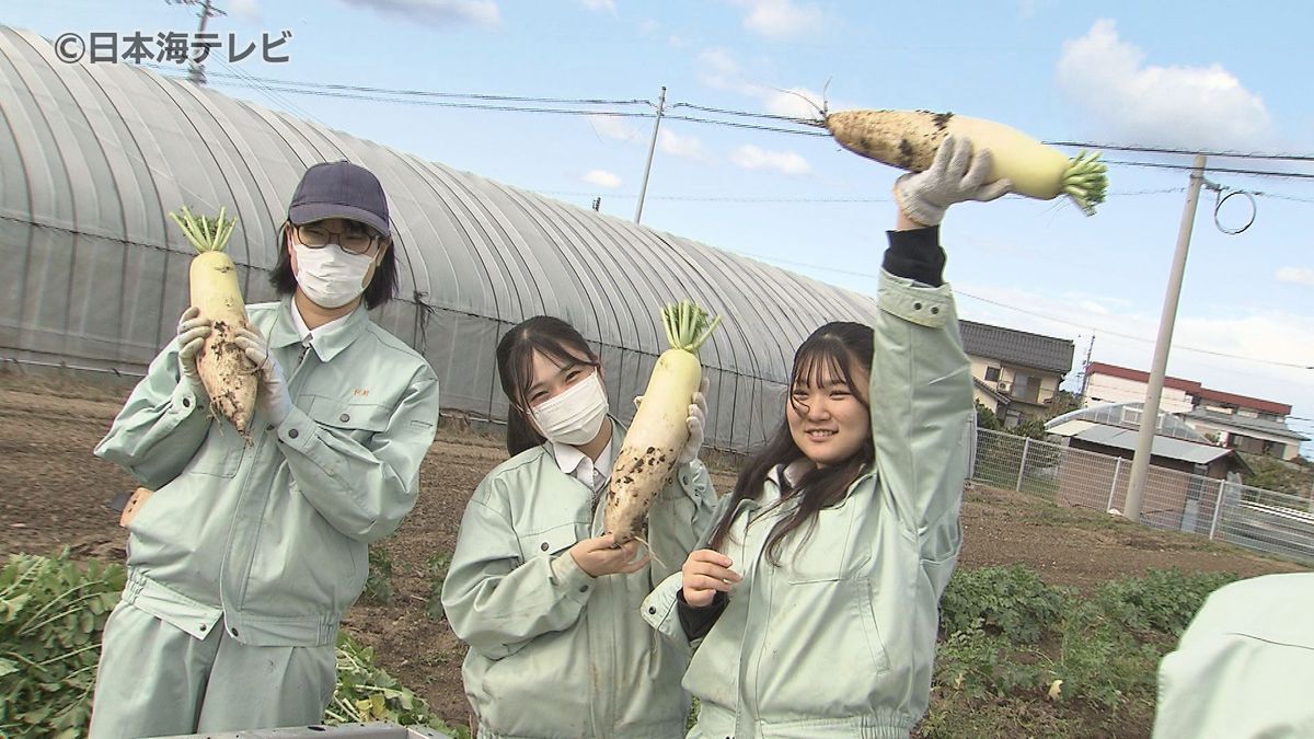 自分たちの「味」を届ける　高校生が自ら育てた野菜を収穫　「湖陵フェスタ」にて販売　「みんなが美味しく食べてくれたらいいなと思います」　鳥取県鳥取市・鳥取湖陵高校