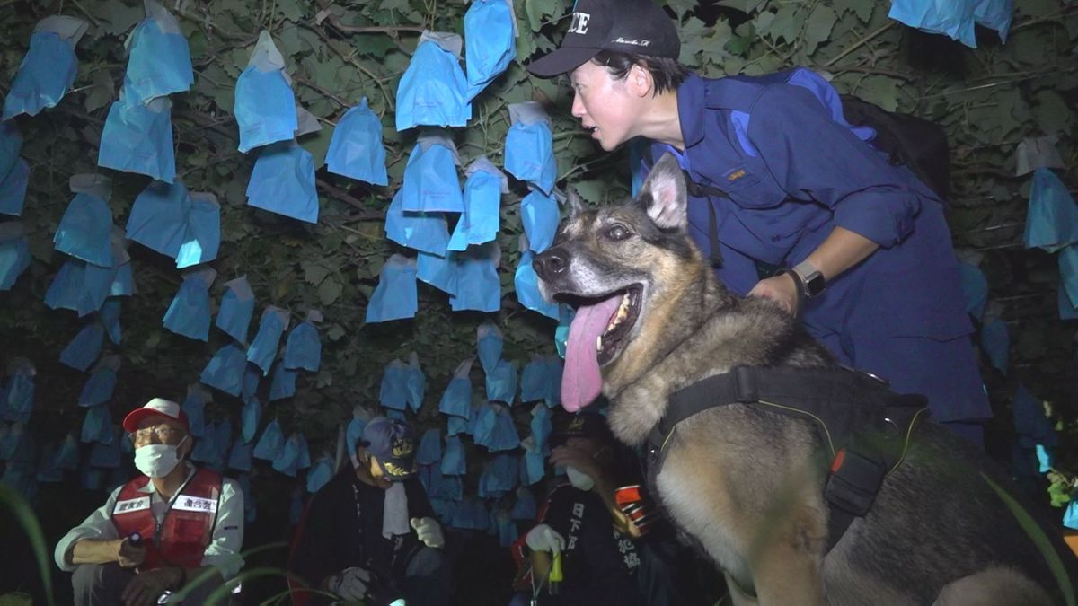 ブドウを守れ！盗難防止パトロール 夜の畑を巡回し目を光らす 今季すでに被害 山梨・甲州市