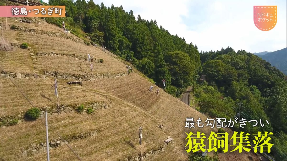 傾斜地に生きるー徳島・にし阿波の一年