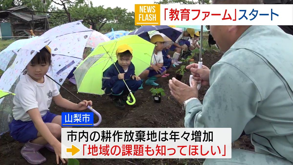 小中学生が“体験型”農業学習 苗植えから収穫まで 耕作放棄地を活用 山梨市