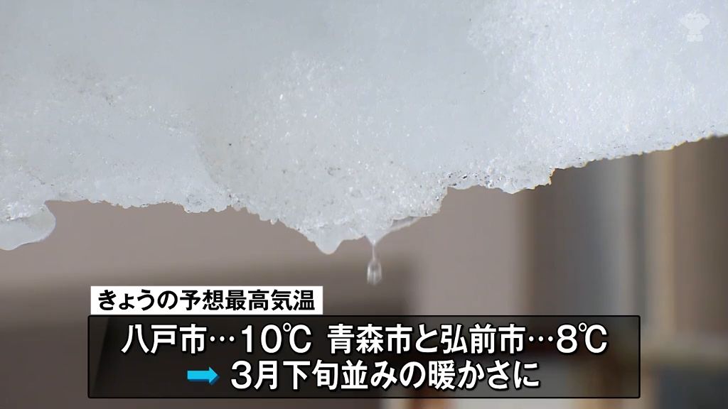 豪雪どこへ…“大寒”なのに3月並の暖かさに雪解け進む「車にひかれる心配もない」　雪崩や落雪に注意を　青森県