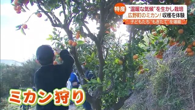 すっきりとした青空が広がった福島県内！冬の味覚の収穫が各地で始まる