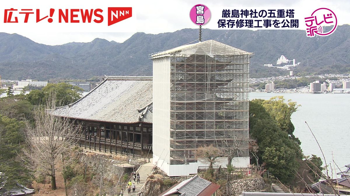 国の重要文化財「厳島神社の五重塔」　保存修理工事を公開　広島・宮島