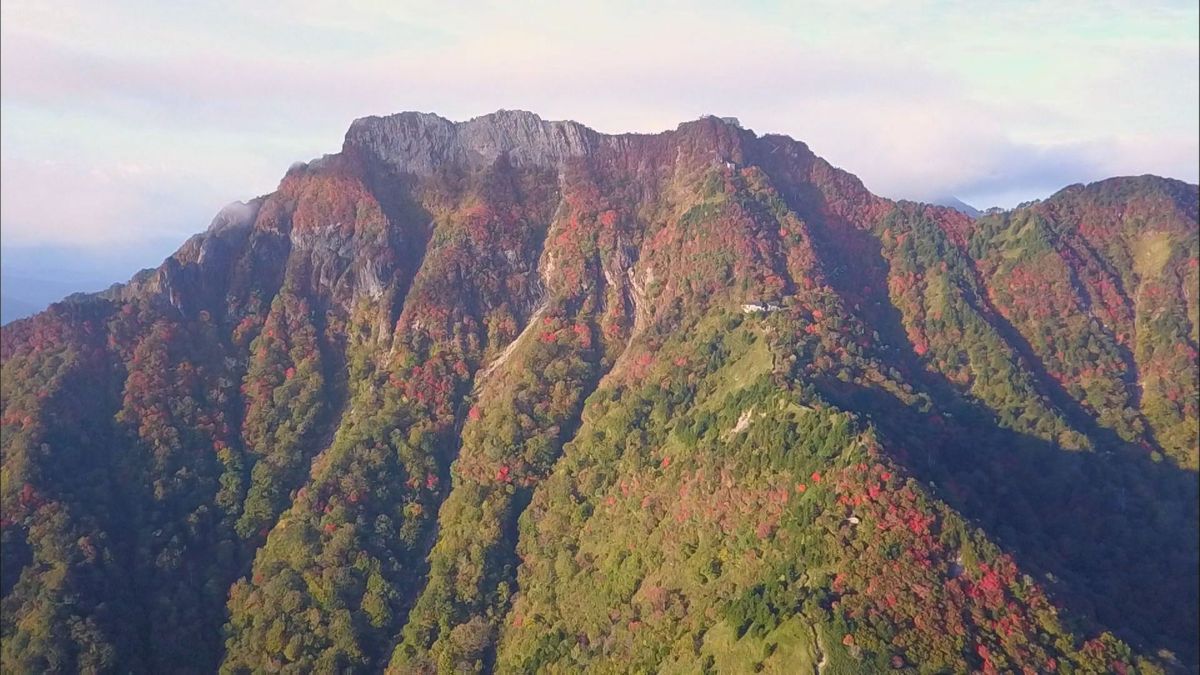 紅葉色づく絶景！看板ネコに癒される 西日本最高峰「石鎚山」天狗岳への道