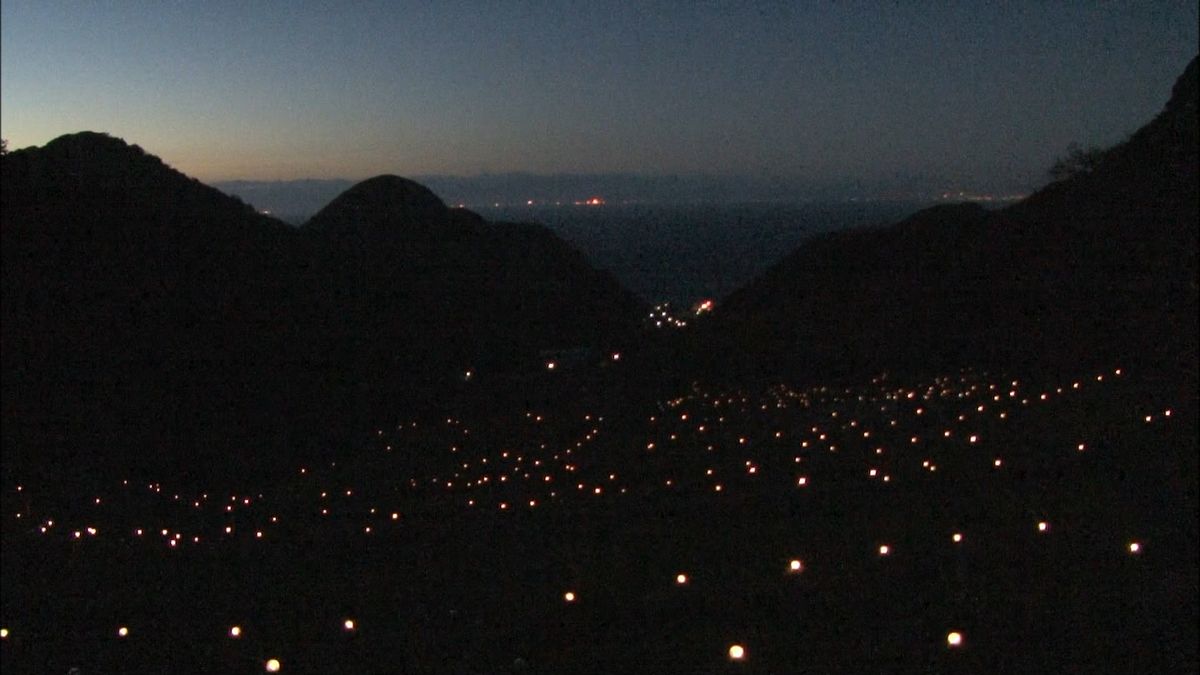 幻想的風景　伊豆半島の棚田をライトアップ