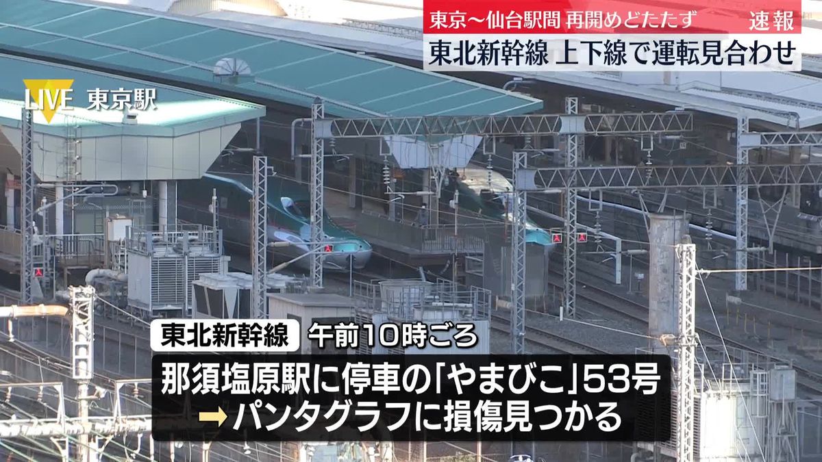 東北新幹線、東京～仙台駅間の上下線で運転見合わせ　架線に損傷ないか点検