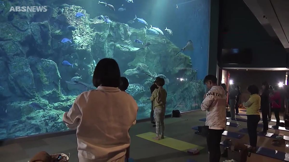 まるで海の中のよう…参加者が一味違うリラックス気分を味わった水族館での珍しいイベントとは？