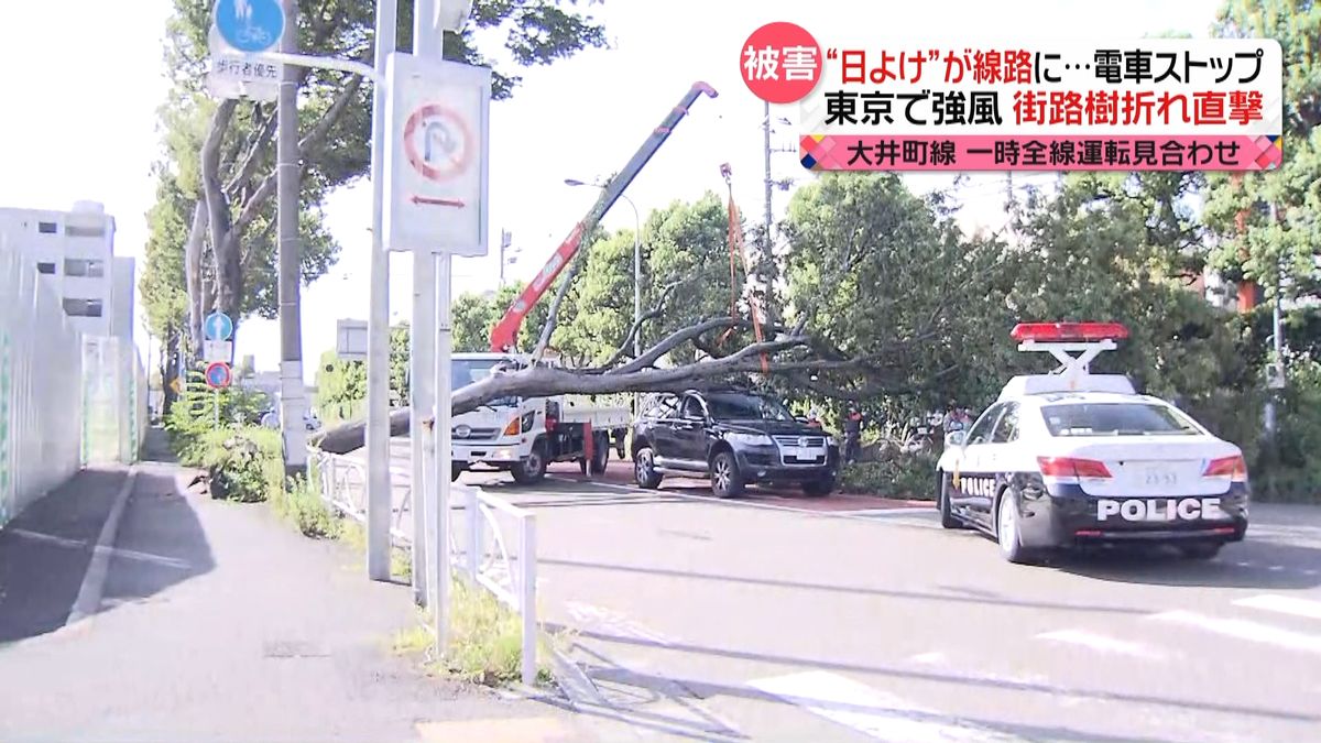 冠水や暴風の被害相次ぐ　街路樹折れ直撃も