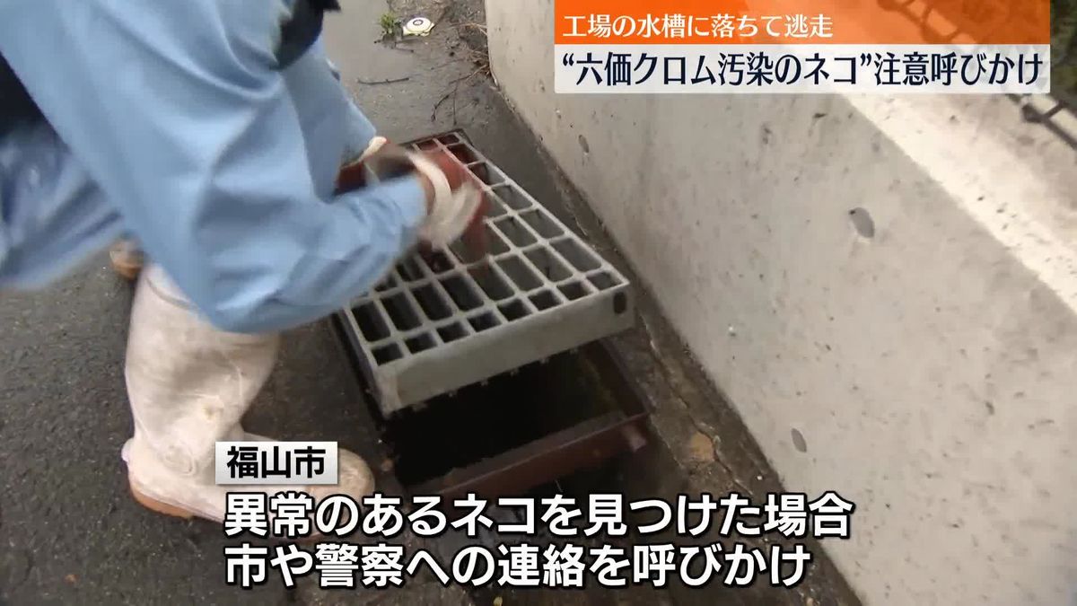 「六価クロム」の水槽に落ち“ネコ逃走”いまだ見つからず…注意呼びかけ　広島・福山市 