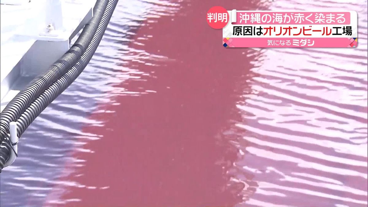 沖縄の海が赤く染まる　オリオンビール工場から冷却水流れ込み…