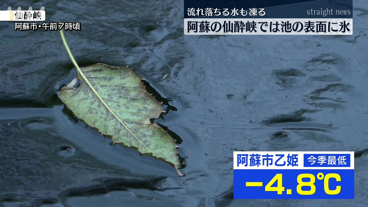 仙酔峡では池の表面が凍る(9日午前7時頃･阿蘇市)