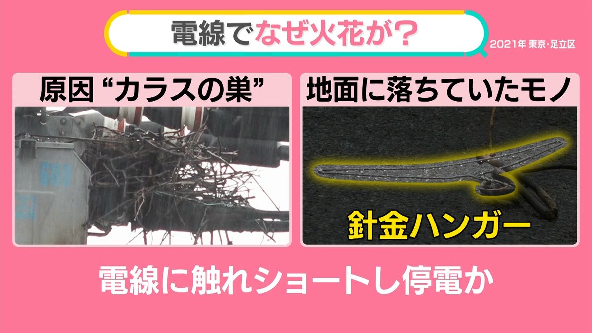 東京や神奈川で起きた12日の停電　原因は…カラスの巣　どう防ぐ？【#みんなのギモン】