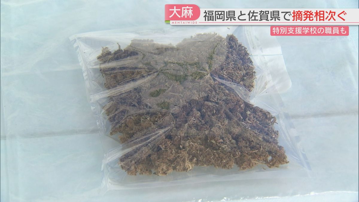 押収された大麻