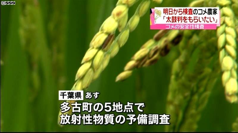 コメの放射性物質検査、千葉県では４日開始