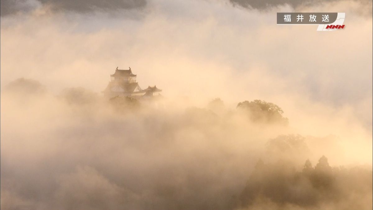 雲に浮かぶ「天空の城」今シーズン初　福井