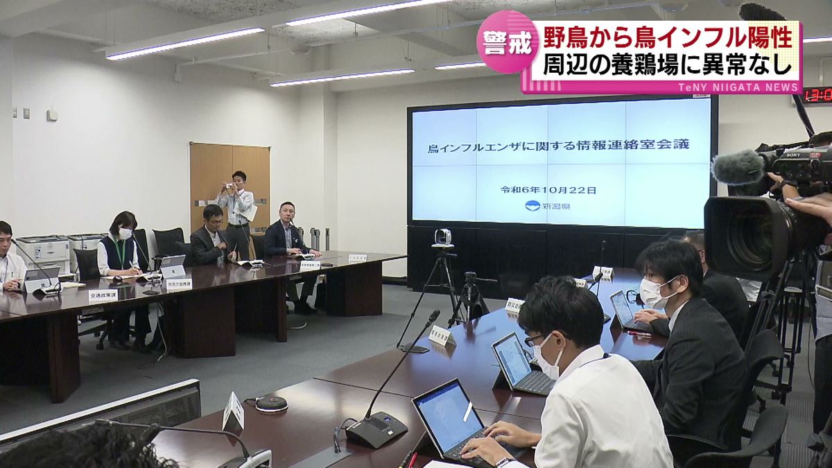 野生のオオタカから鳥インフル陽性反応　現時点で周辺の養鶏場で異常なし　高病原性かの判定には1週間程度かかる見込み 《新潟》