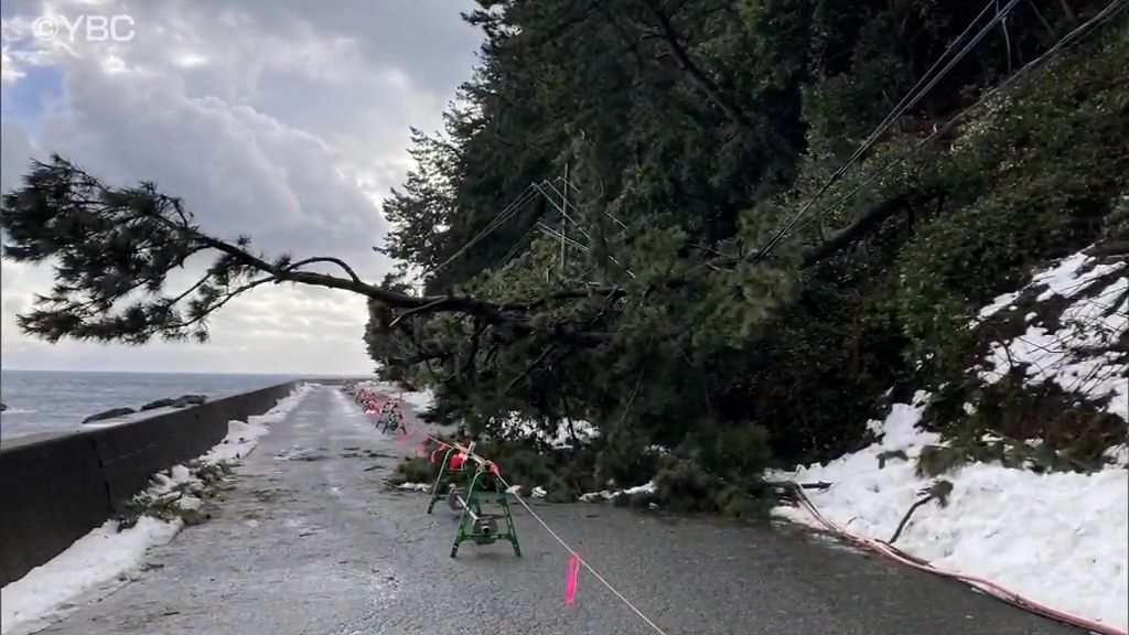 大雪で倒木発生の酒田市飛島　大規模停電・断水の恐れは解消　26日応急工事が完了　