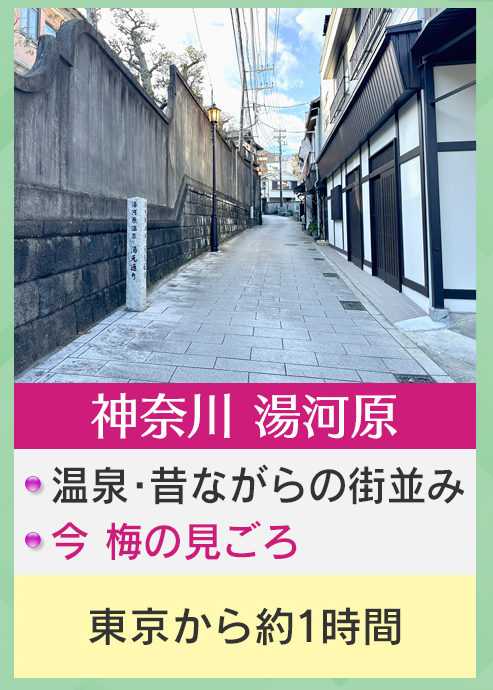 穴場スポット②:『神奈川・湯河原』