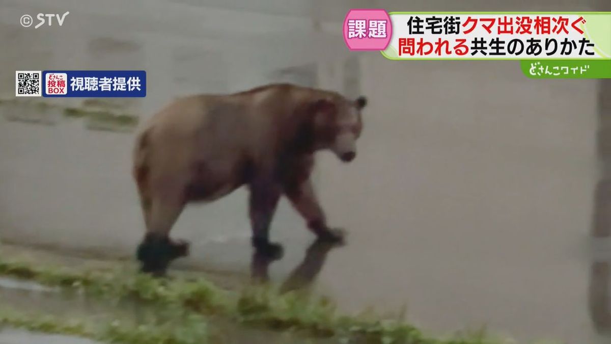 加工場のゴミあさる、ブリーダーのイヌ舎襲う…相次ぐクマ被害に妙手は？共生は？悩ましい北海道