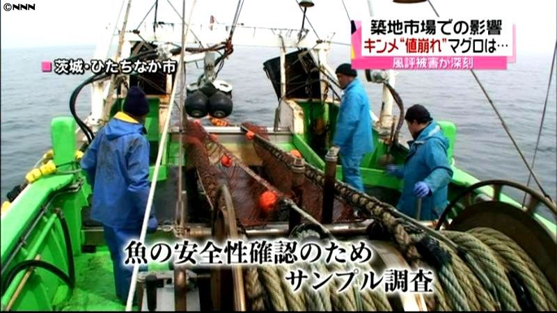 茨城の漁協　ヒラメなどのサンプル調査開始