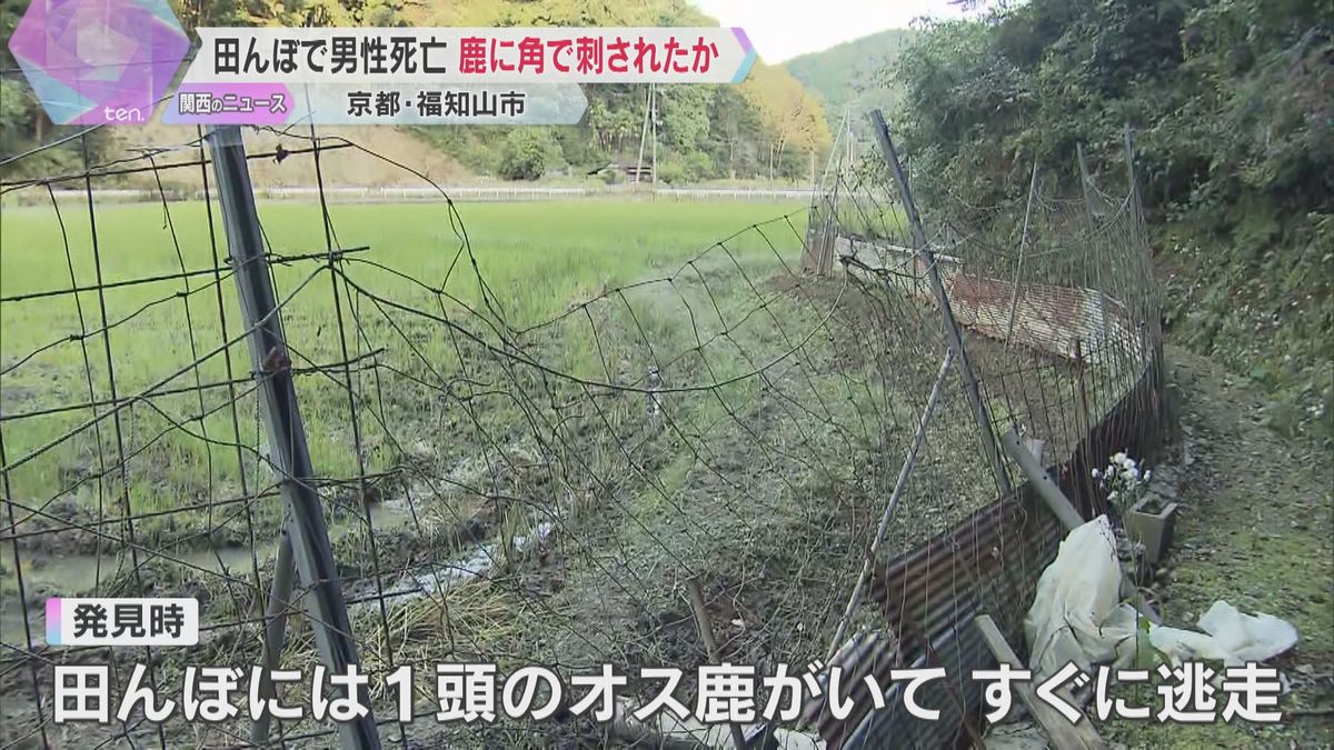 田んぼで68歳の男性が死亡　野生の鹿に角で刺されたか　周囲は高さ2ｍのフェンス　京都・福知山市