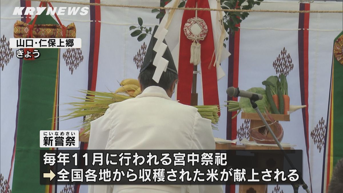 宮中祭祀「新嘗祭」に献上する米　山口市で収穫