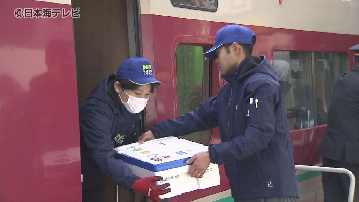 水揚げされた「松葉がに」がその日のうちに県外に！　特急列車・新幹線の空いたスペースを活用した輸送サービス　鳥取県