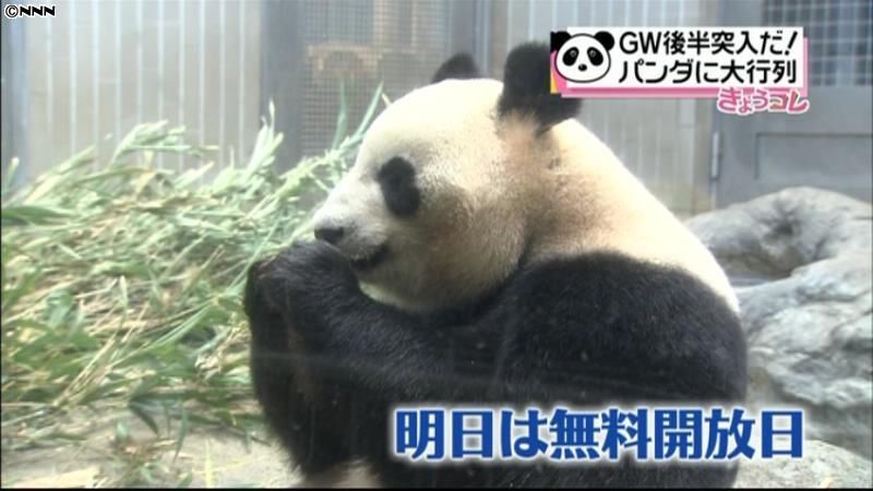 パンダ目当てに…上野動物園に大行列
