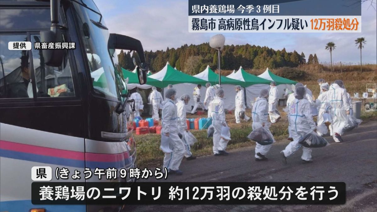 霧島市の養鶏場で鳥インフルエンザウイルス検出 12万羽のニワトリの殺処分はじまる