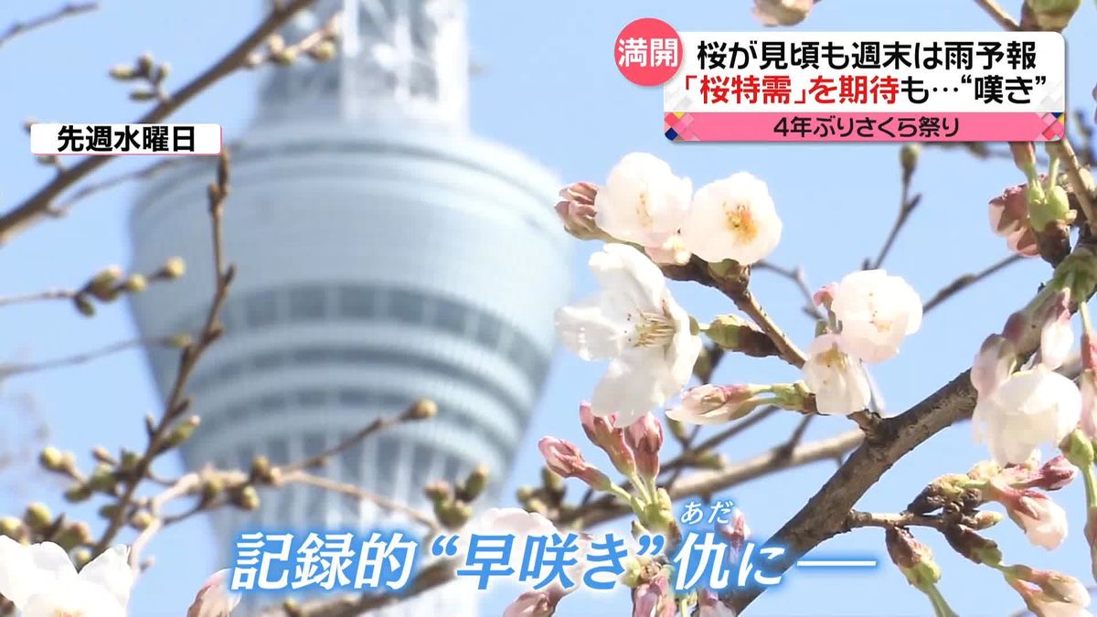 東京で「桜」が見頃　“桜特需”期待も…週末の雨予報に“嘆き”の声