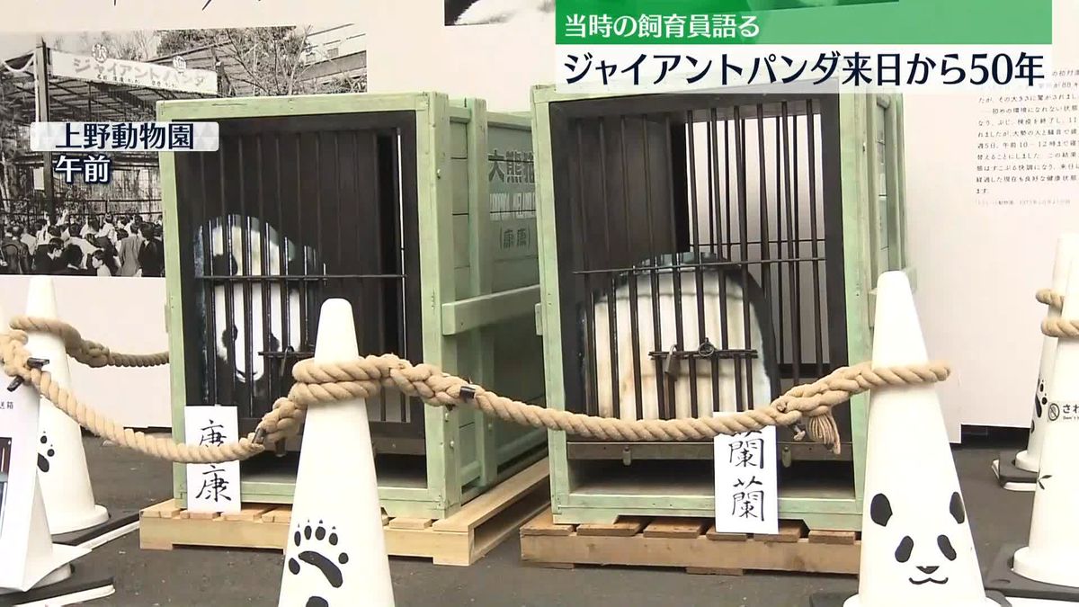 上野動物園　パンダ来日から50年　当時の飼育員が語る