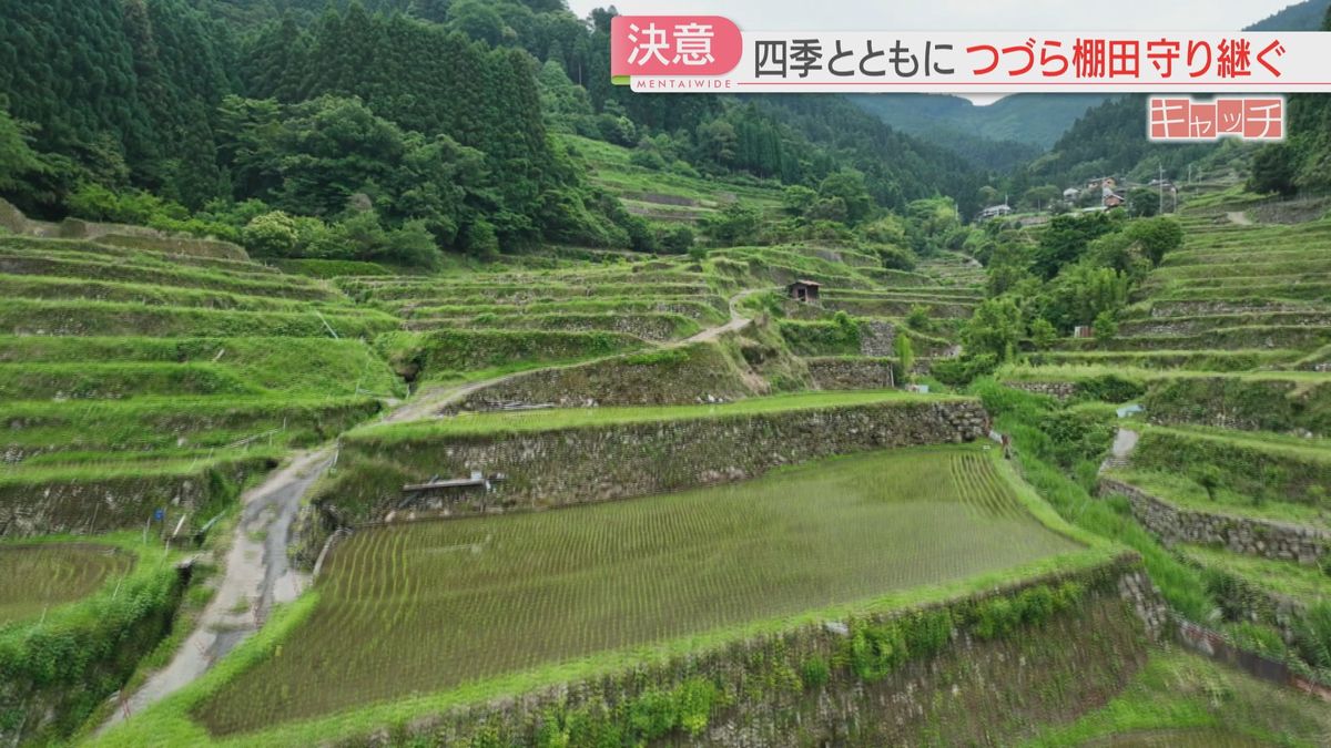 特集「キャッチ」　九州北部豪雨からまもなく11年　被災した『つづら棚田』はいま