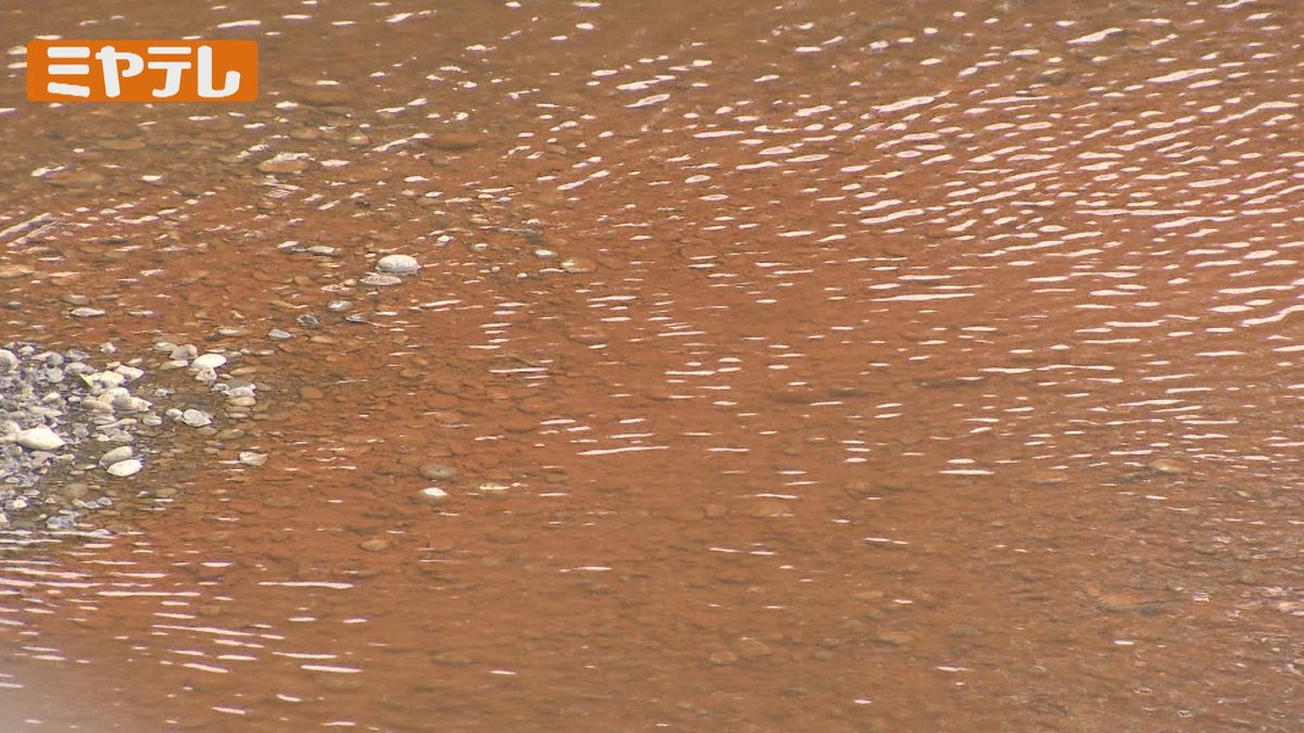 “赤茶色”に変色した広瀬川（10月30日撮影）