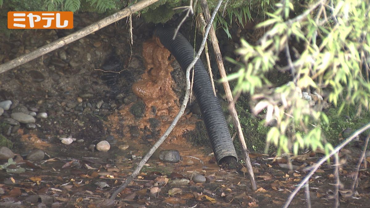 “赤茶色”に変色した広瀬川（10月30日撮影）