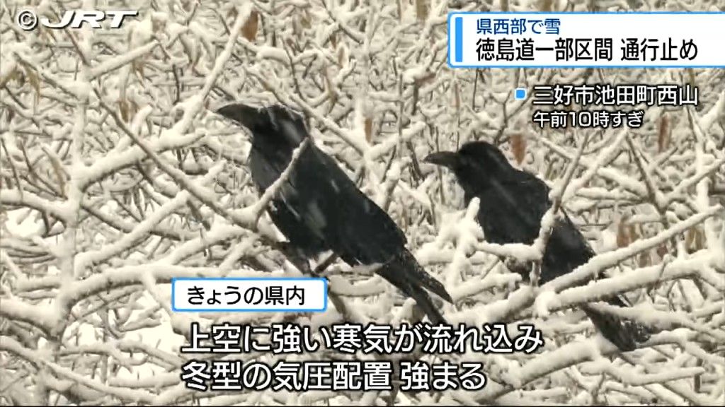 大雪のおそれなくなるも  徳島道の一部区間 通行止め【徳島】