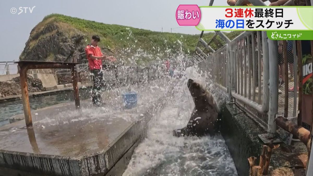 トドが水浴び　「青い池」に車やバスの列　好天の「海の日」　北海道の観光地にぎわう　