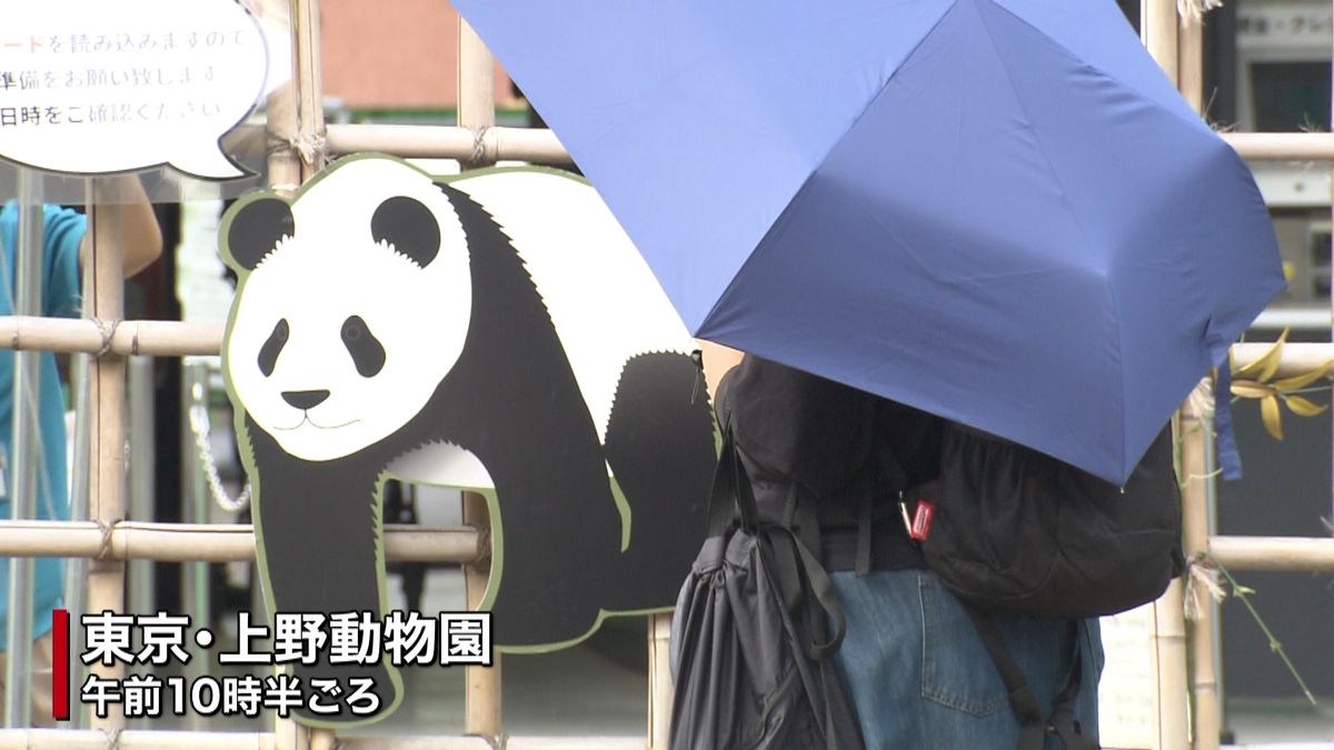 上野動物園　９日から入園者数上限引き上げ