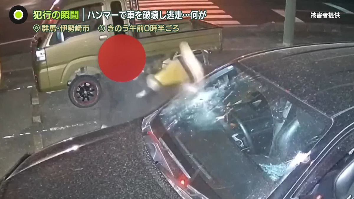 “ハンマーで車を破壊し逃走”防犯カメラがとらえた犯行の瞬間…いったい何が？