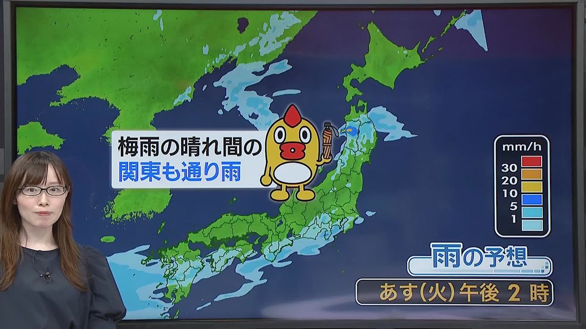 【天気】西日本や東海、東北は午前中から雨降りやすい　関東と北海道の太平洋側は晴れ間も