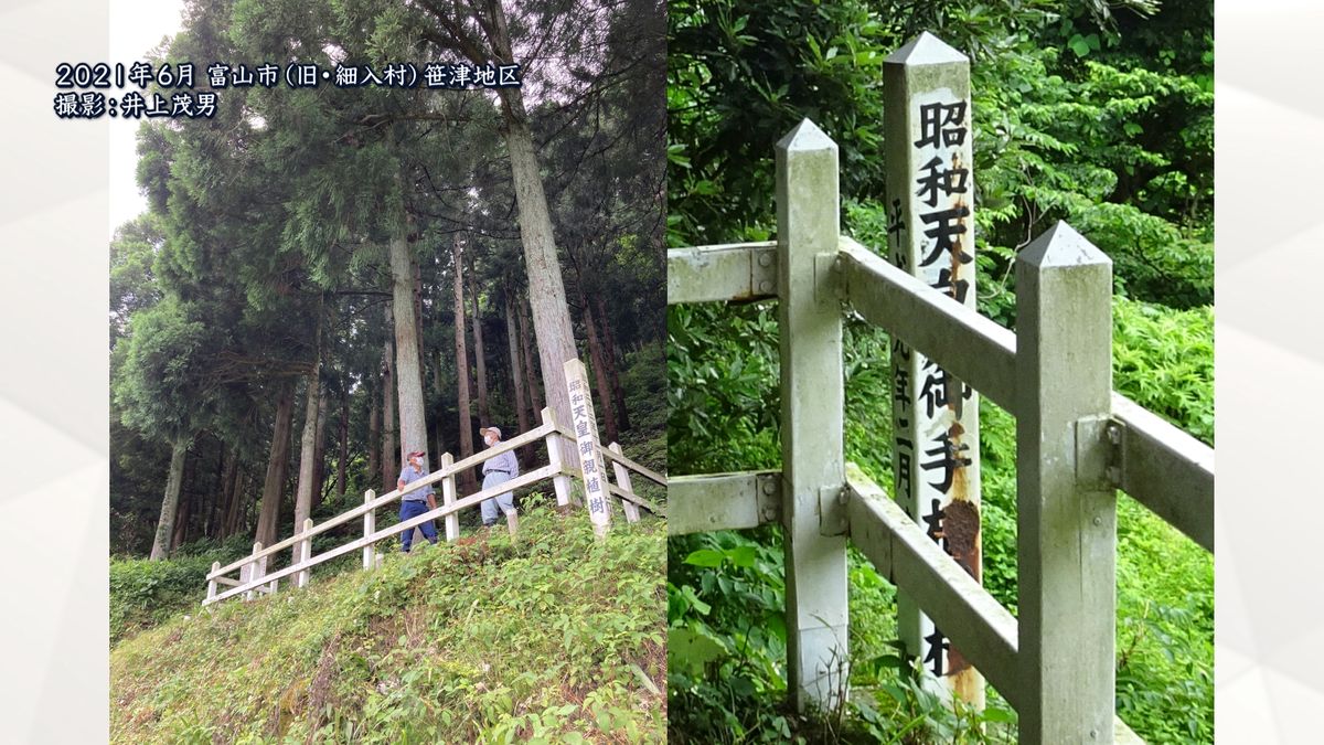 2021年6月　富山市（旧・細入村）笹津地区　撮影・井上茂男