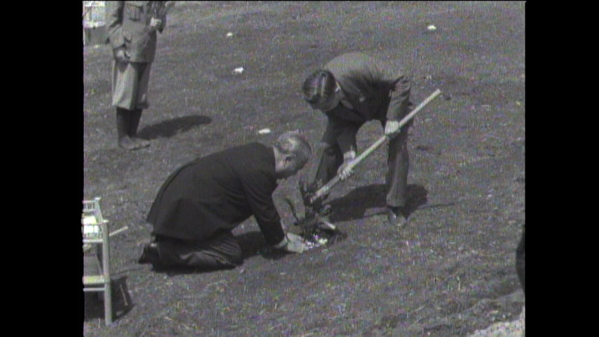 1958（昭和33）年大分　第9回植樹祭