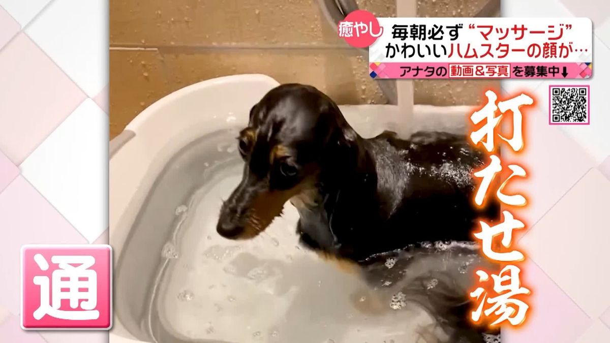 お風呂大好き犬のひとときは…“通”の楽しみ！？