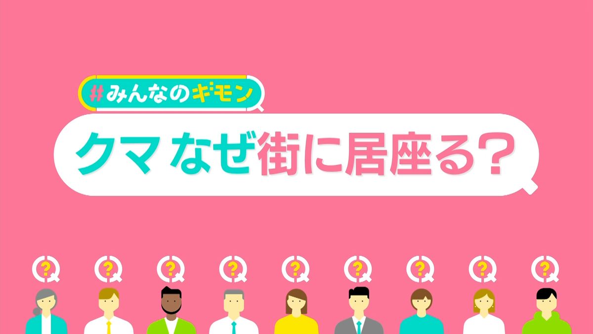 スーパー居座りのクマ捕獲で…「殺さないで」抗議相次ぐ　街への出没どうする？　自治体“丸投げ”で課題も【#みんなのギモン】