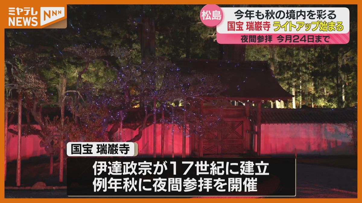 ＜『国宝』瑞巌寺＞秋の境内彩る”ライトアップ”　「雰囲気がすごい…」（宮城・松島町）