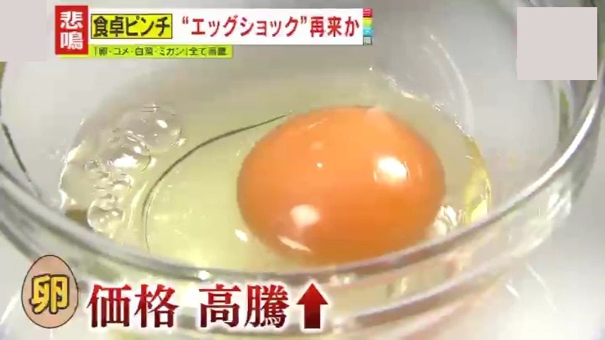 【ピンチ】「“エッグショック”を超えてくる恐れ」鳥インフルエンザの影響で卵が高級品に⁉価格高騰の波はコメや果物にも…オムライスやおにぎりの専門店・小売業からは悲鳴「もはや“天変地異”ぐらいのレベルです」