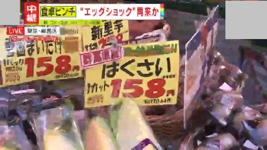 “今がむしろお買い得”な白菜