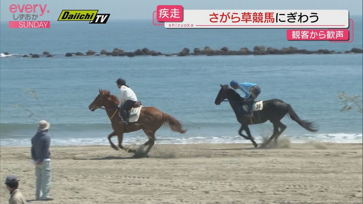 砂浜を駆け抜ける　さがら草競馬大会　多くの観客から歓声上がる（静岡・牧之原市）