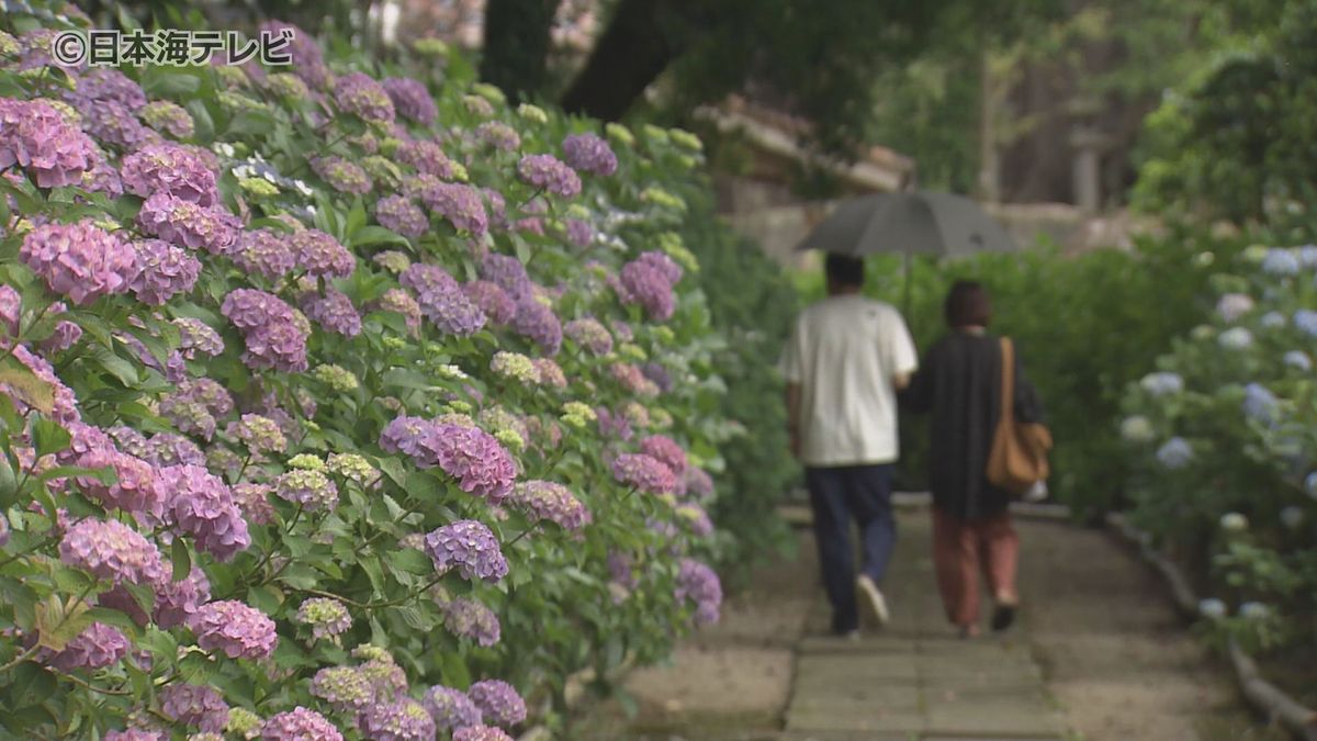 まもなく梅雨入り　家庭でできる対策とは？　「湿気」は感染症につながることも　