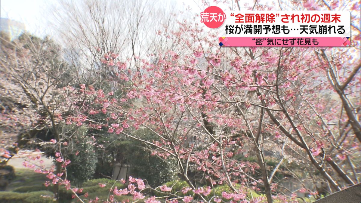 コロナ禍で迎える3度目の桜の季節　“まん延防止”全面解除後初の週末は…